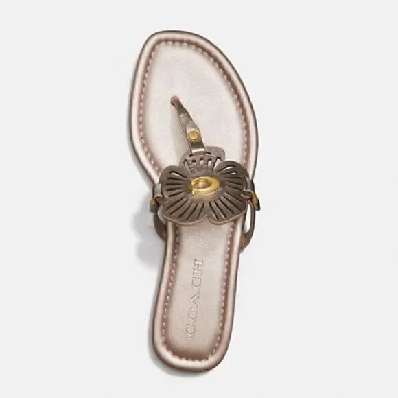 7.5 COACH JULIA SANDALS in champagne (nib) - Picture 2 of 9